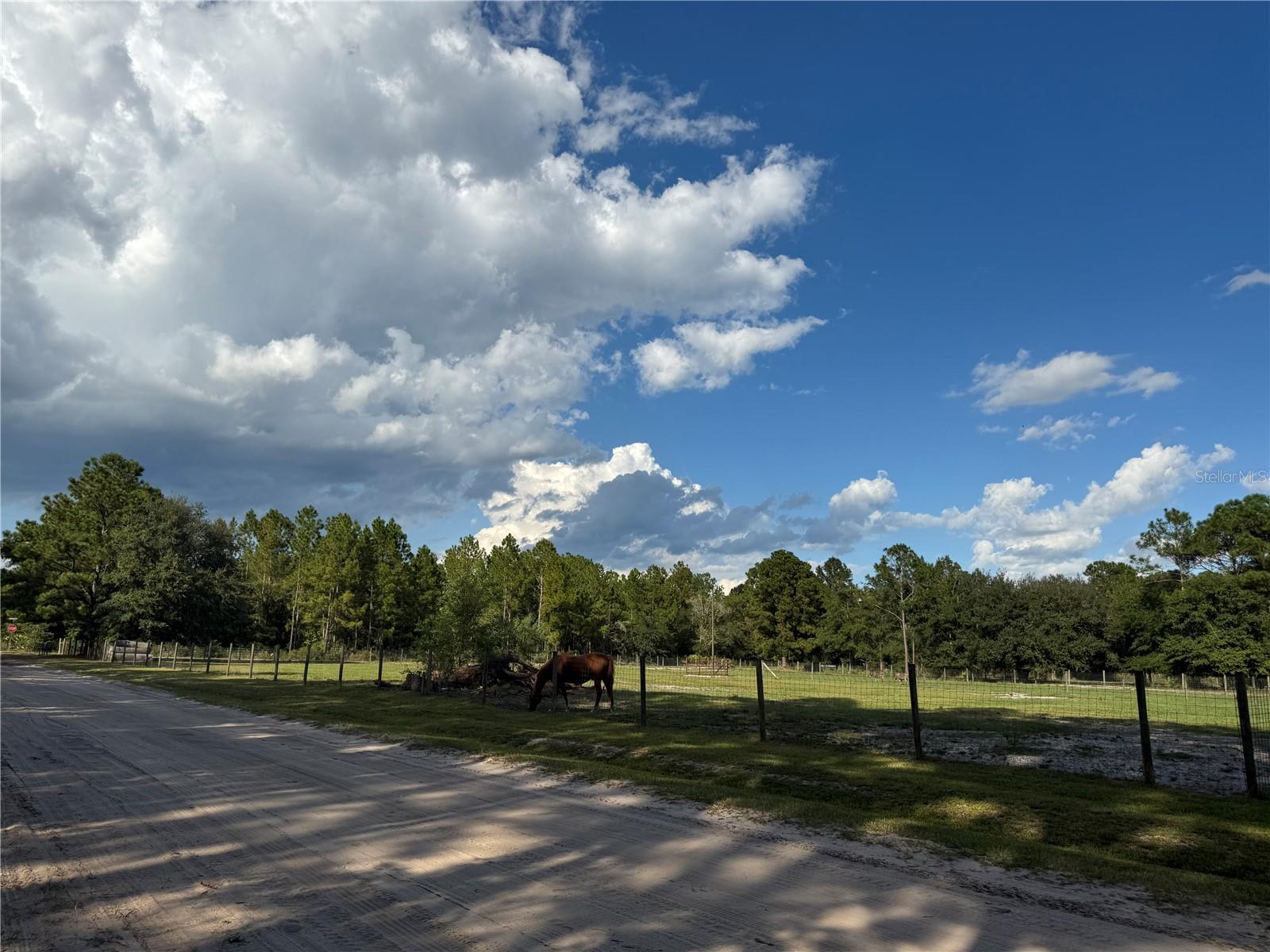 Image 6 of 11 For 4334 Lori Loop Road