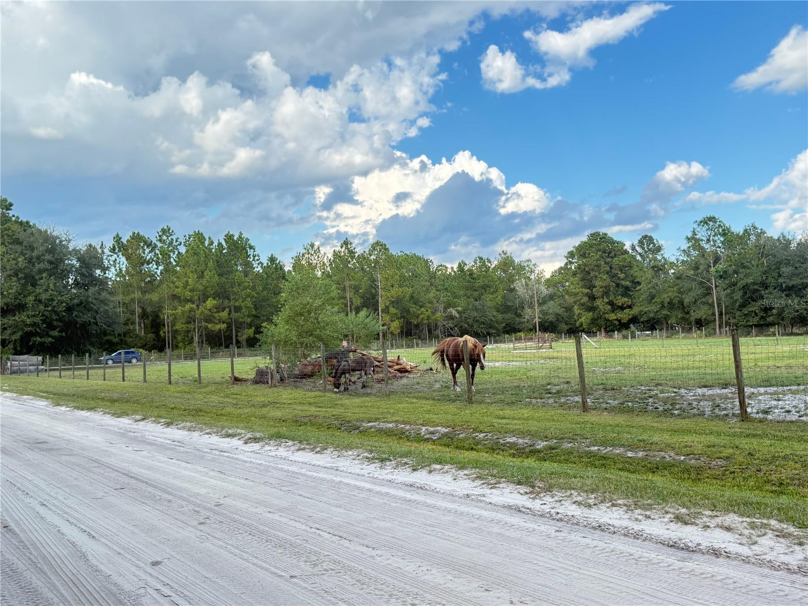 Image 8 of 11 For 4334 Lori Loop Road