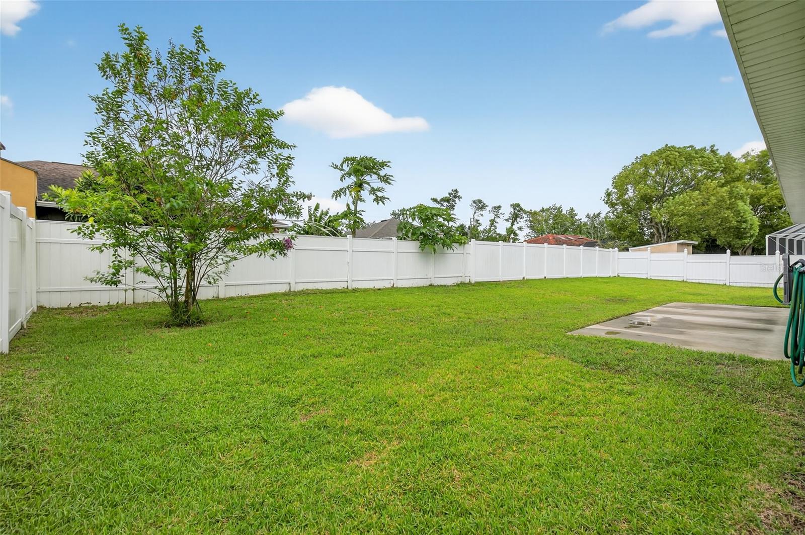 Image 5 of 41 For 46 Furness Place