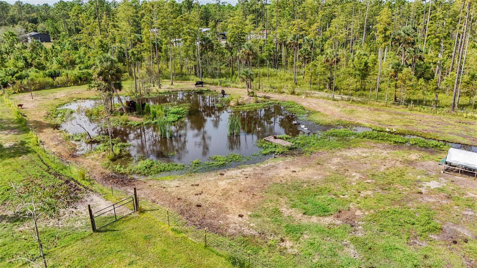 Image 61 of 79 For 5735 Buckeye Lane