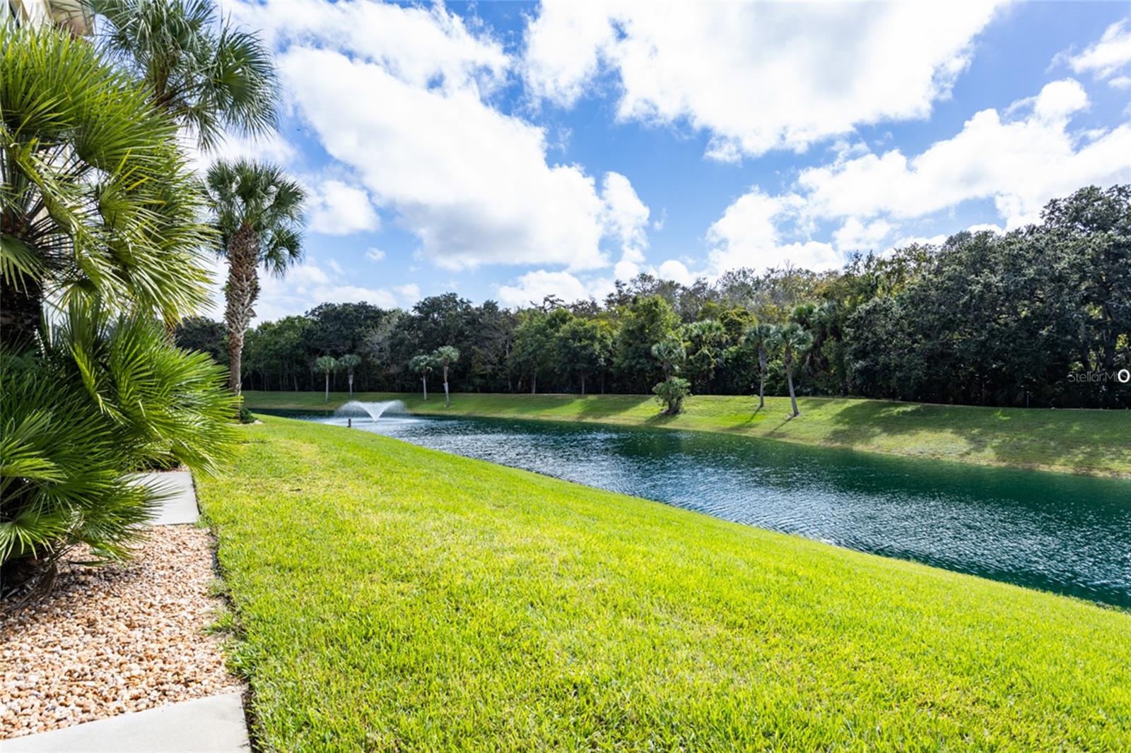 Image 21 of 35 For 1300 Canopy Walk Lane 1313