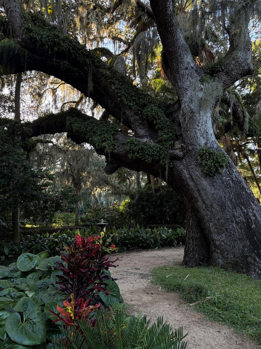 Image 39 of 74 For 15 Debra Drive