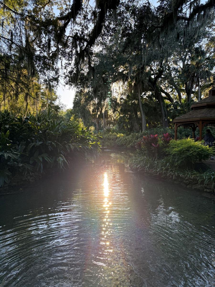 Image 41 of 74 For 15 Debra Drive