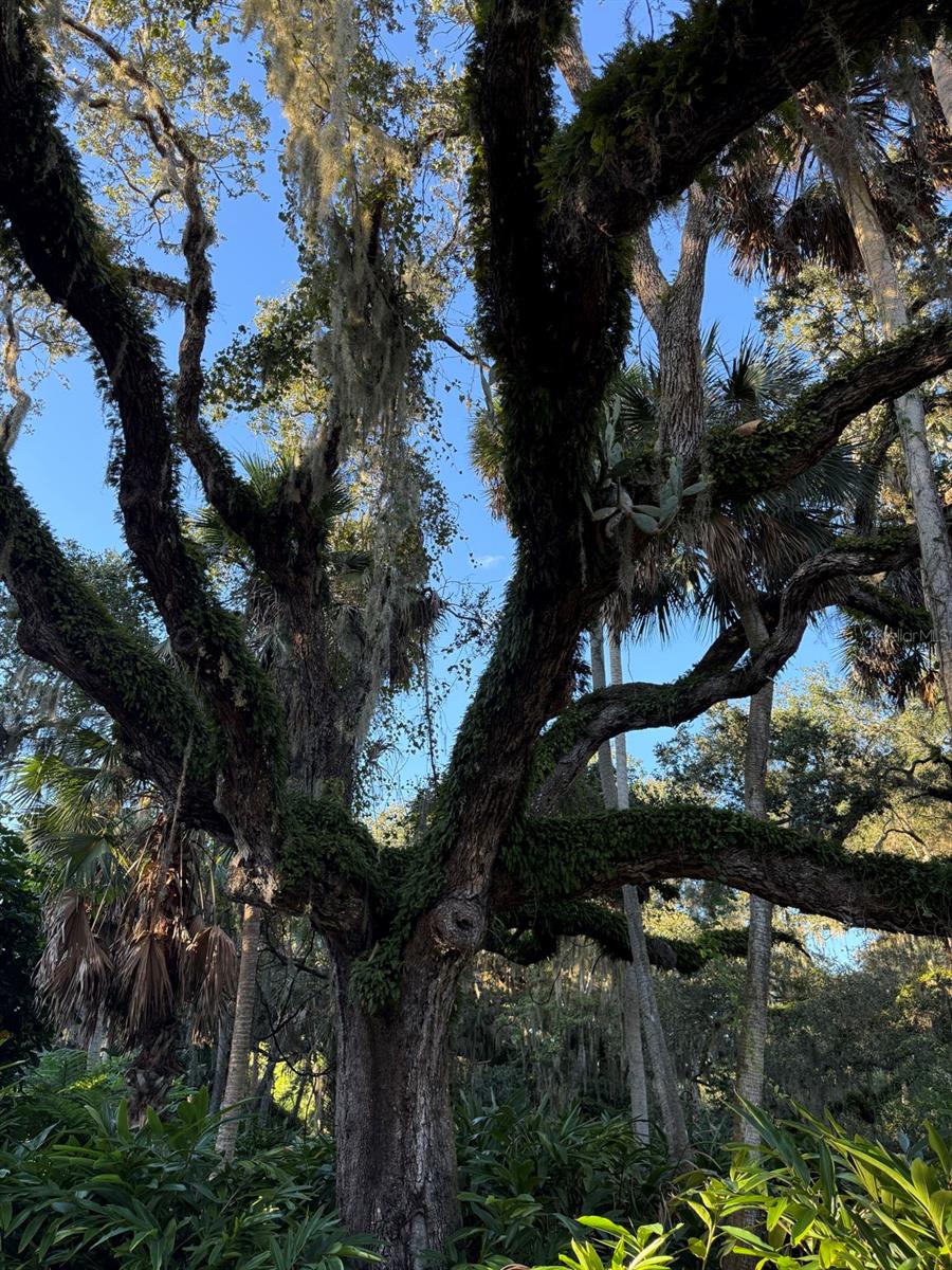 Image 42 of 74 For 15 Debra Drive