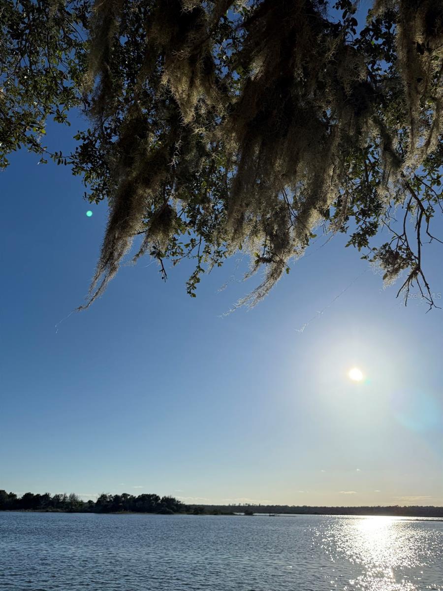 Image 44 of 74 For 15 Debra Drive