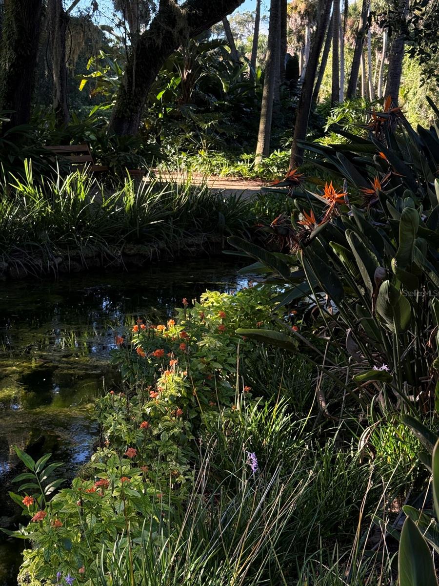 Image 45 of 74 For 15 Debra Drive