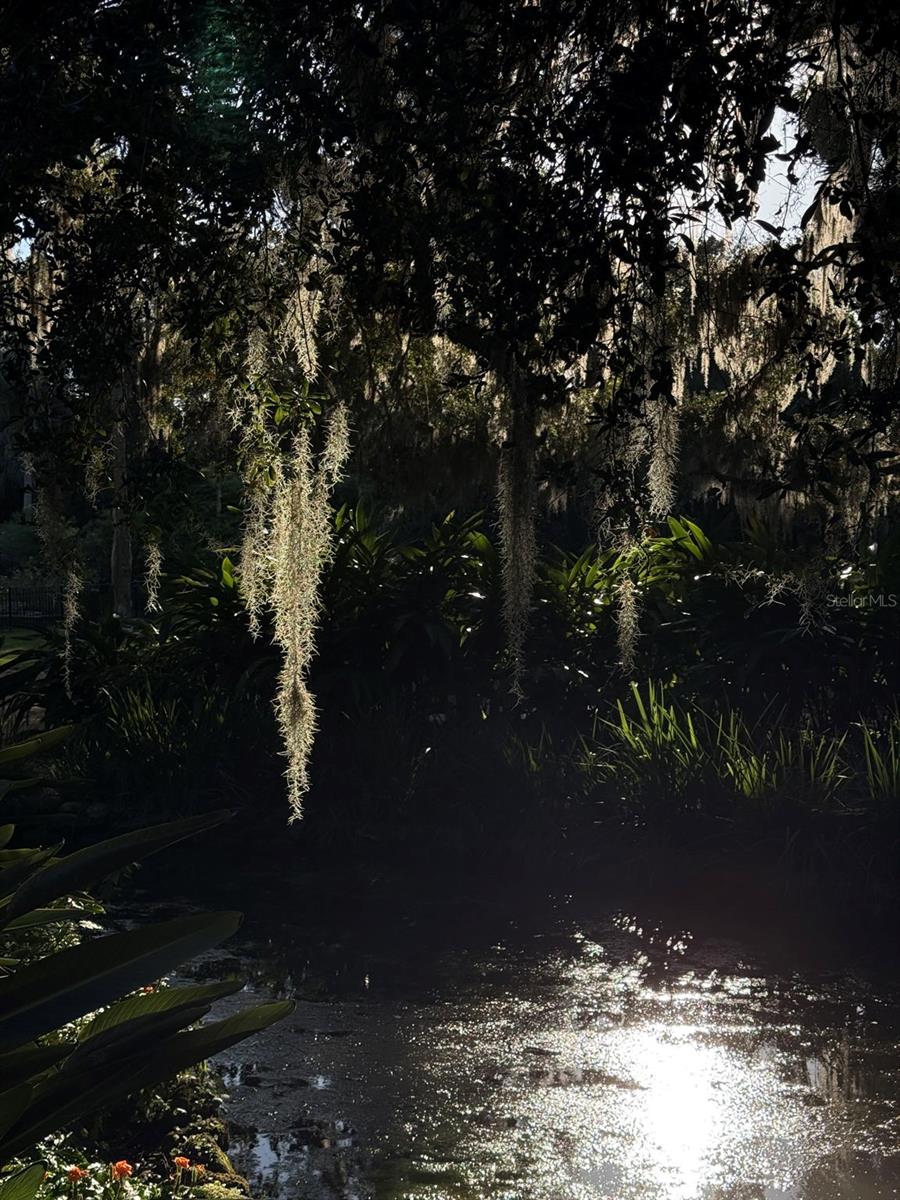 Image 46 of 74 For 15 Debra Drive