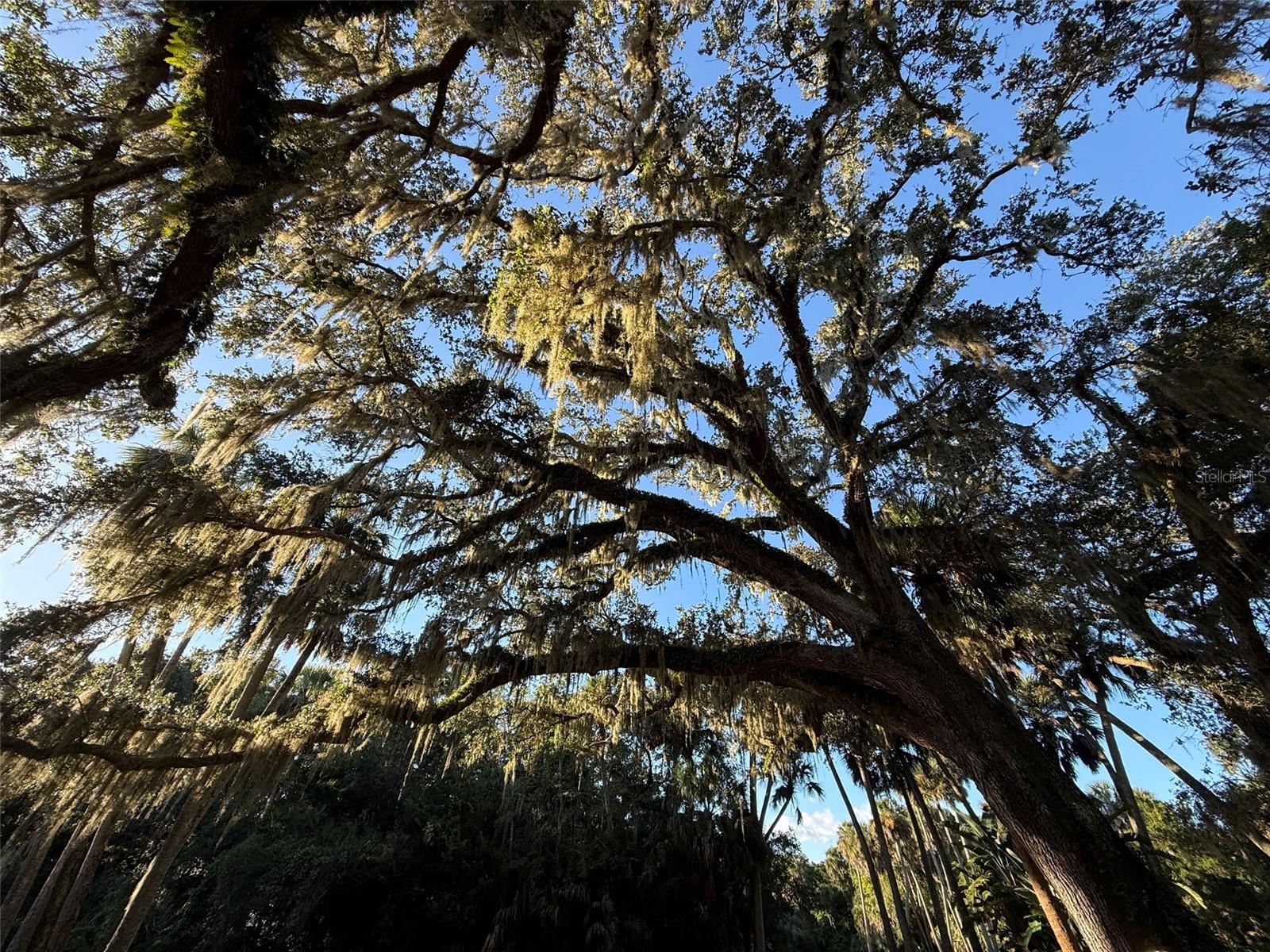 Image 47 of 74 For 15 Debra Drive