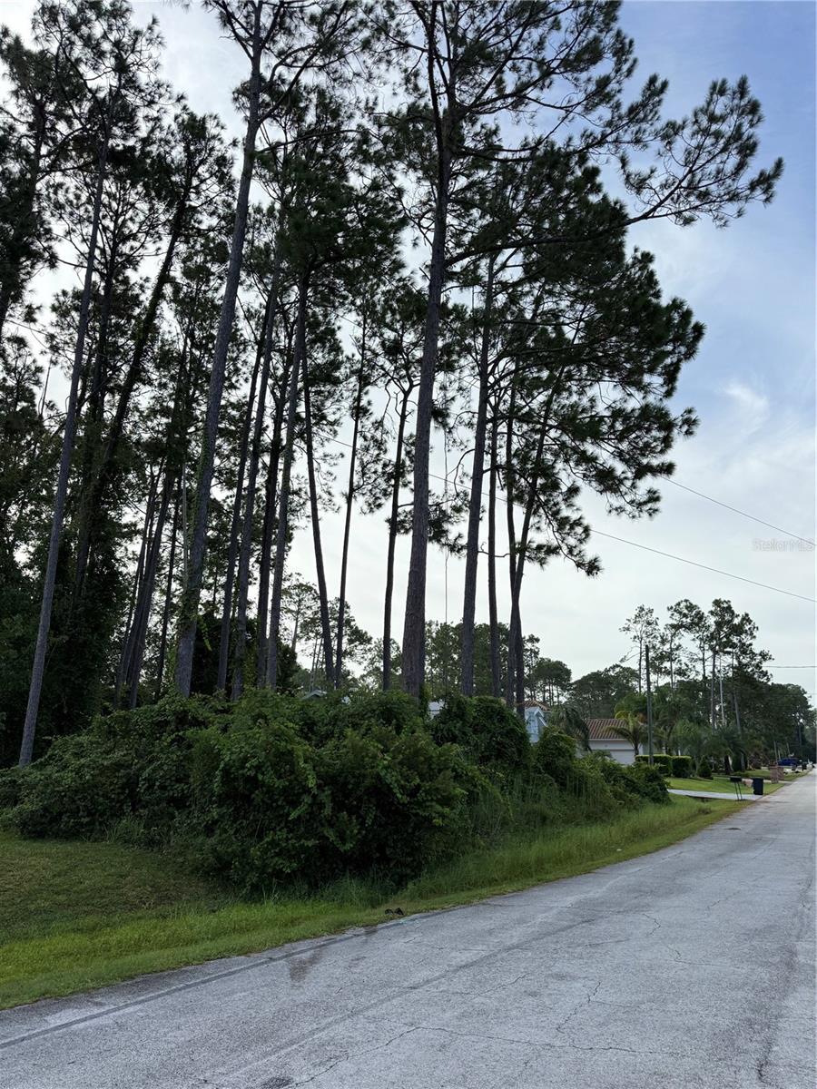 Details for 17 Egan Drive, PALM COAST, FL 32164