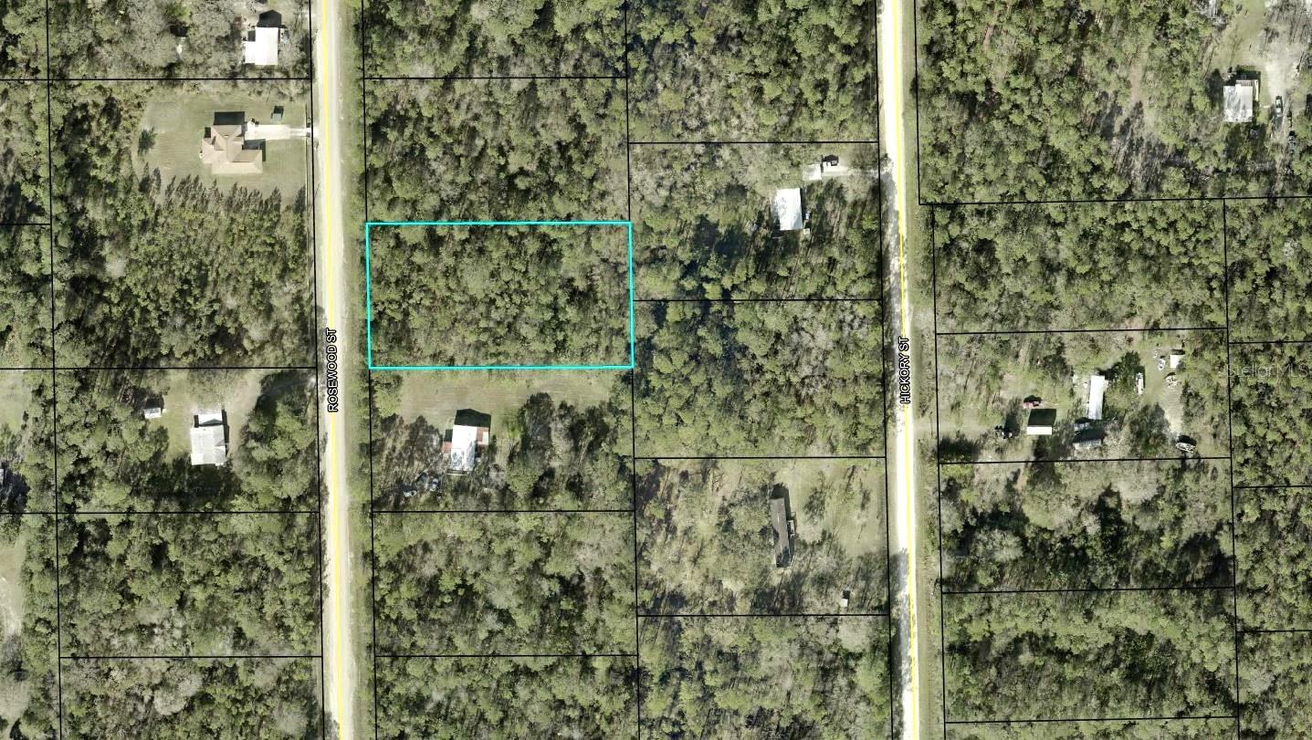 Details for 1259 Rosewood Street, BUNNELL, FL 32110