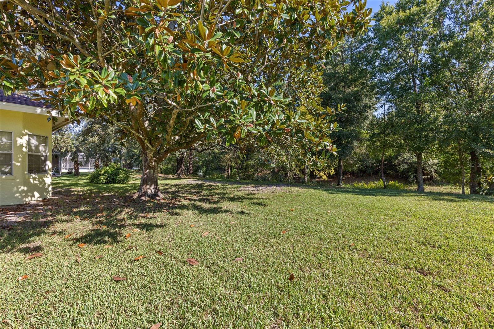 Image 39 of 51 For 8 Montauk Lane