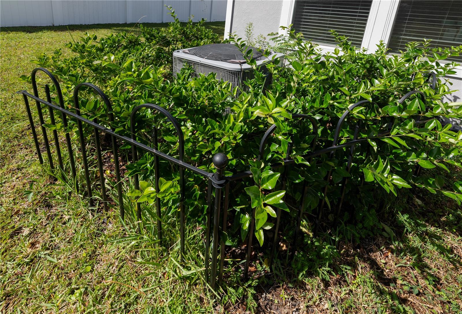 Image 38 of 46 For 98 Raemoor Drive