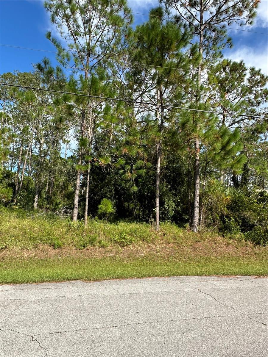 Image 11 of 17 For 85 Presidential Lane