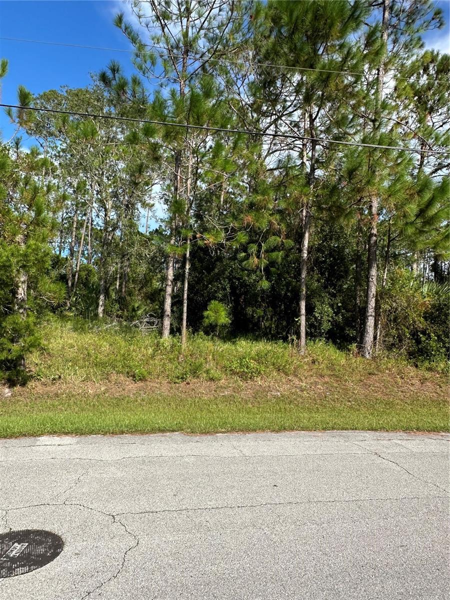 Image 14 of 17 For 85 Presidential Lane