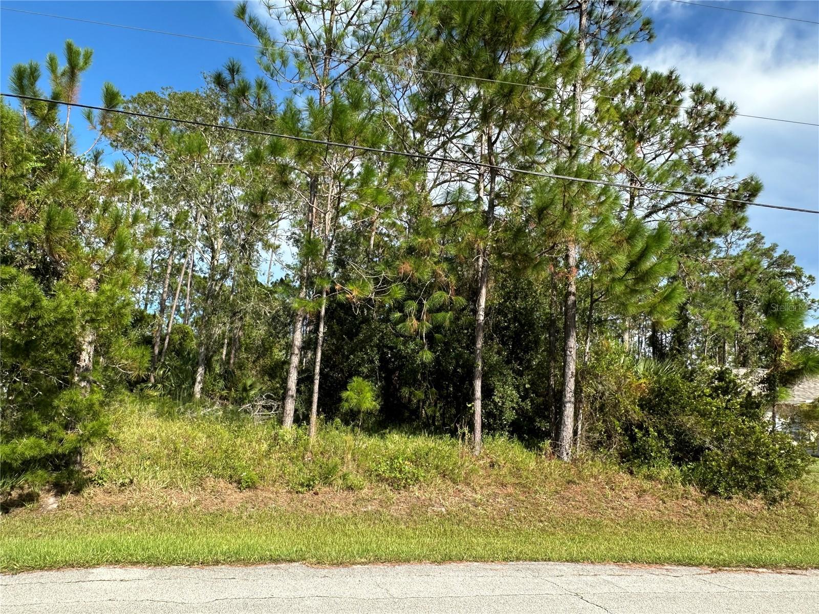 Image 2 of 17 For 85 Presidential Lane