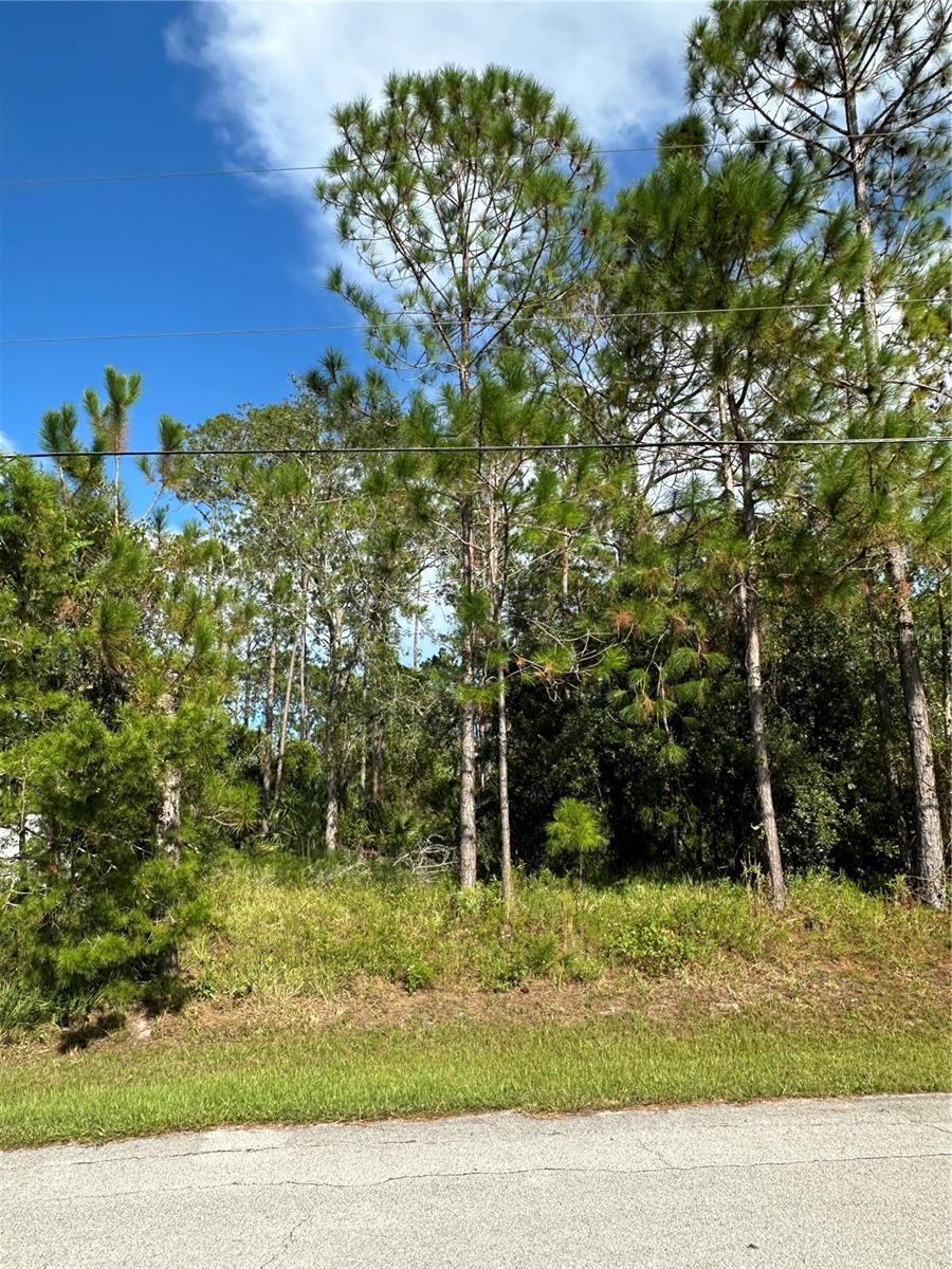 Image 3 of 17 For 85 Presidential Lane