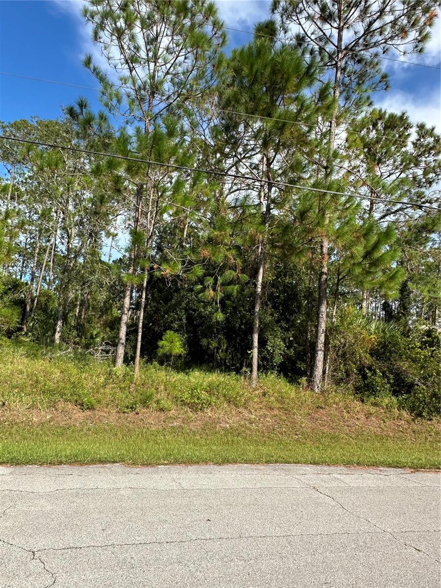 Image 6 of 17 For 85 Presidential Lane