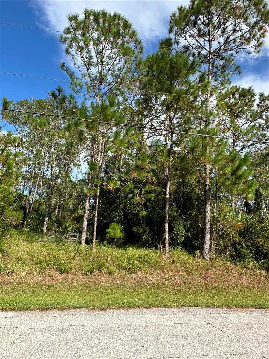 Image 7 of 17 For 85 Presidential Lane