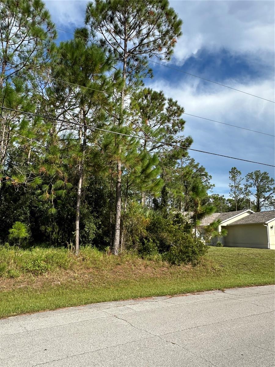 Image 9 of 17 For 85 Presidential Lane