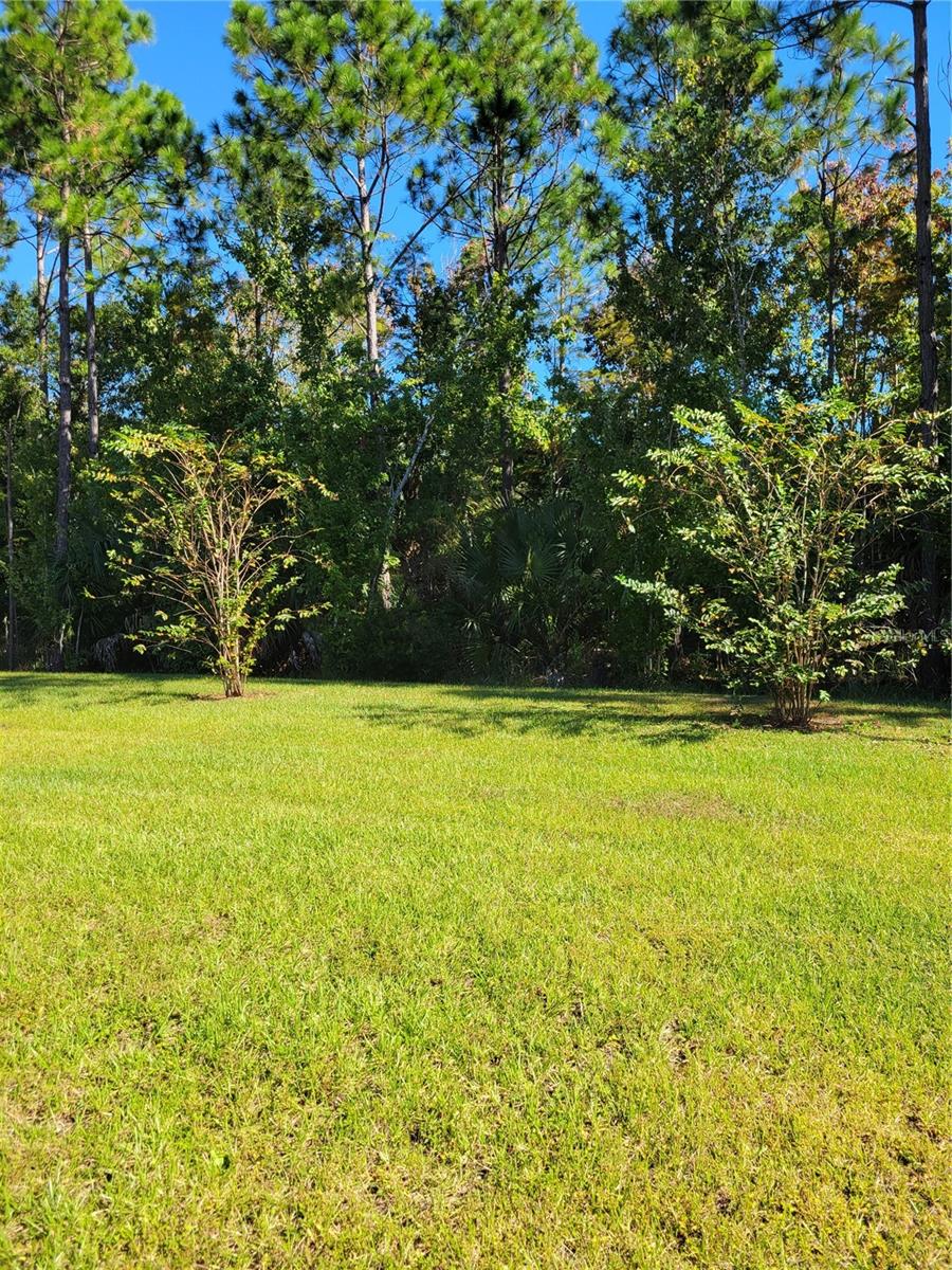 Image 20 of 23 For 23 Birchwood Drive