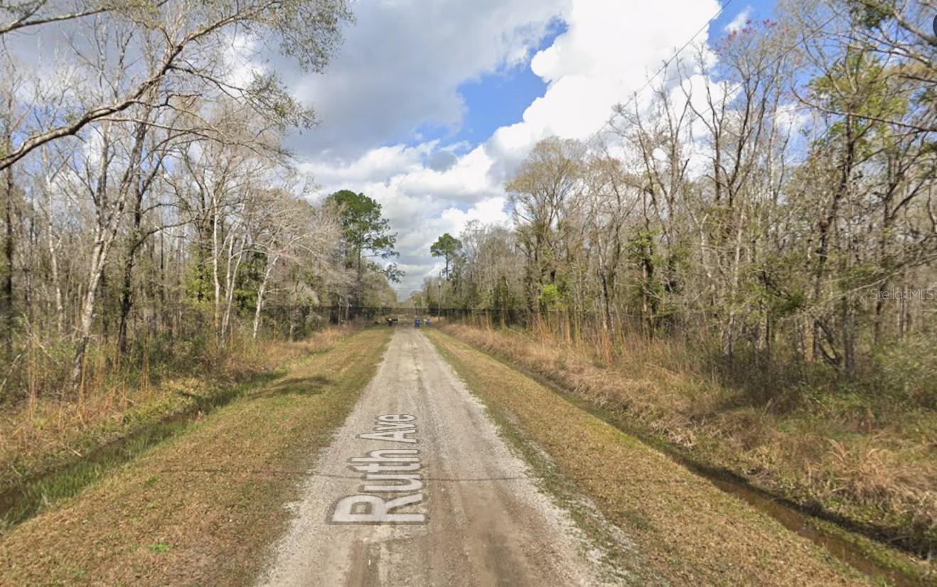 Details for 10535 Ruth Avenue, HASTINGS, FL 32145