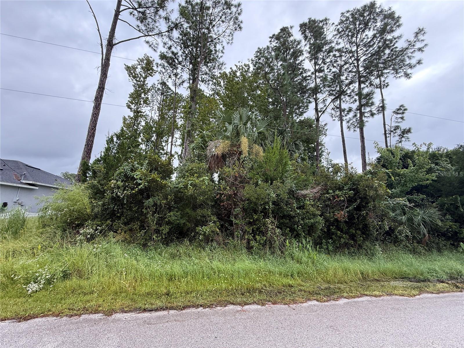 Details for 124 Fenimore Lane, PALM COAST, FL 32137
