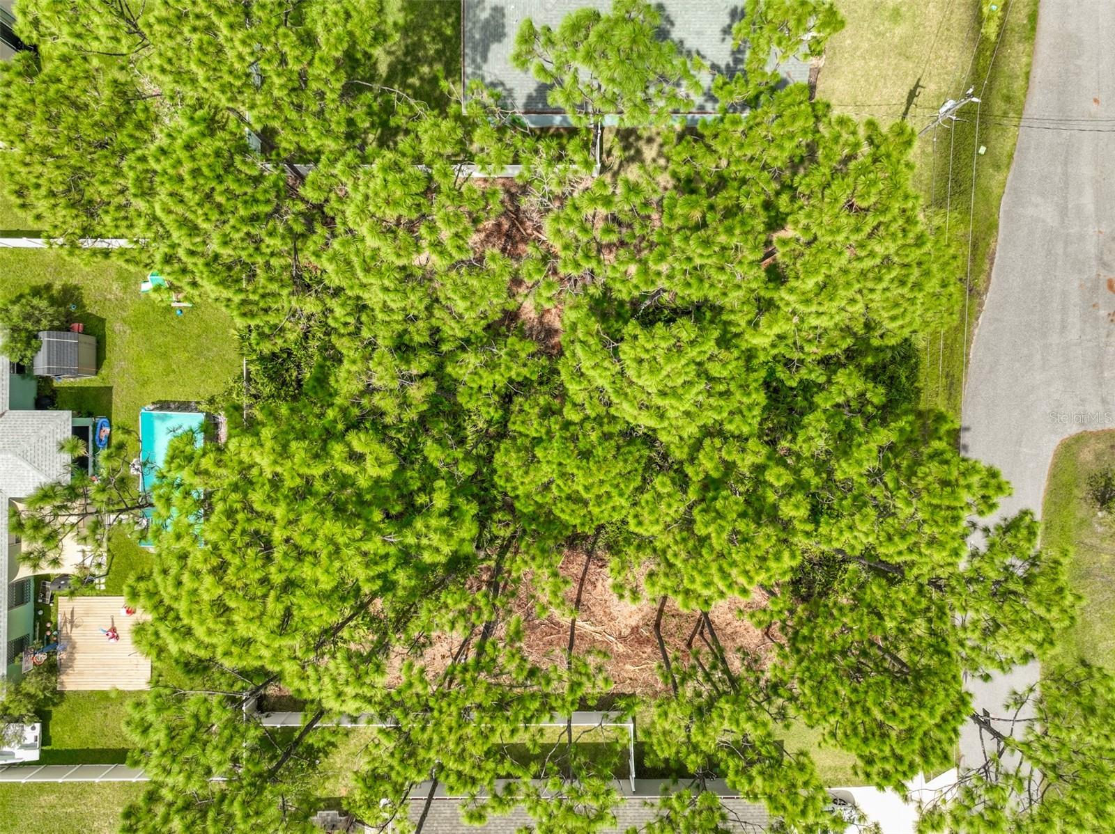Image 3 of 8 For 63 Lindsay Drive
