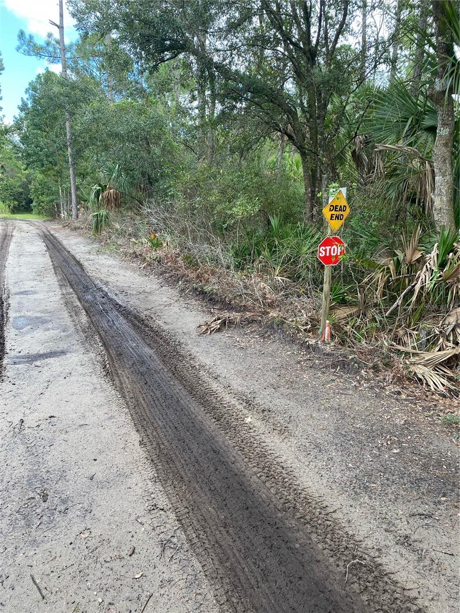 Details for County Rd 335, BUNNELL, FL 32110