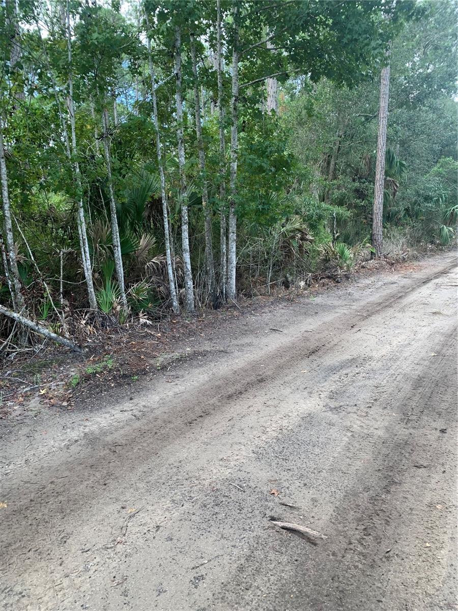 Image 10 of 10 For County Rd 335