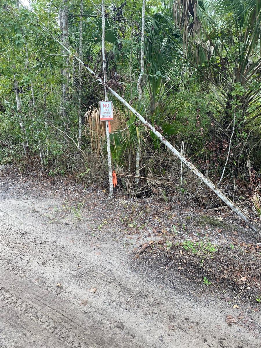 Image 2 of 10 For County Rd 335
