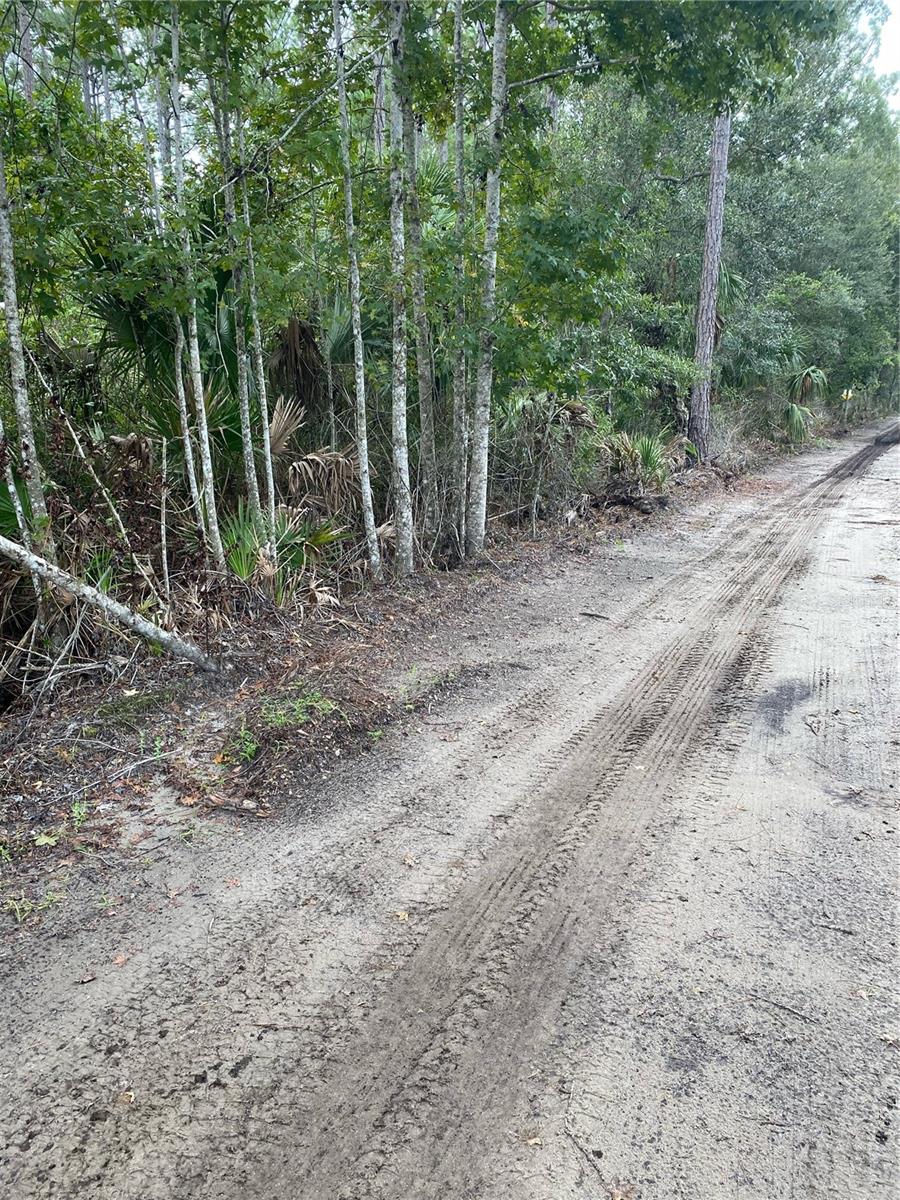 Image 3 of 10 For County Rd 335