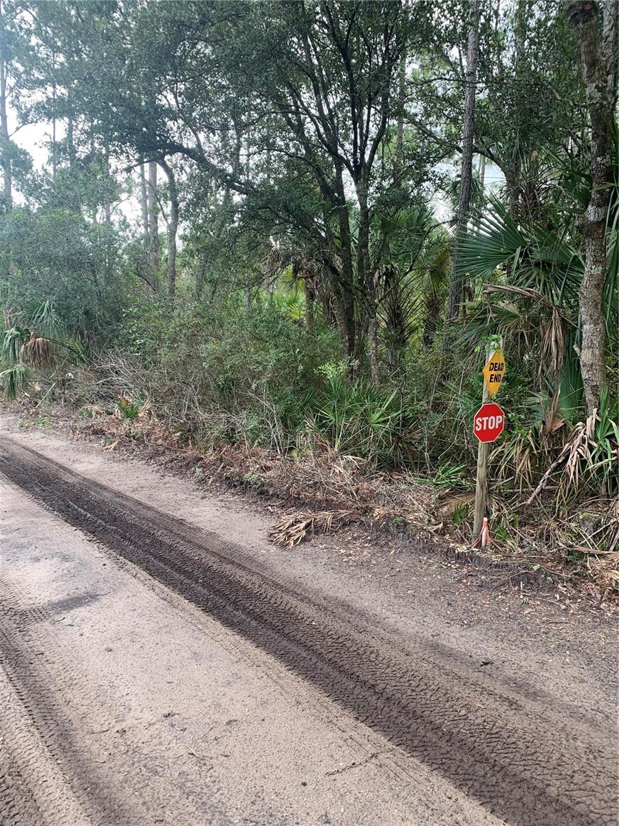 Image 7 of 10 For County Rd 335