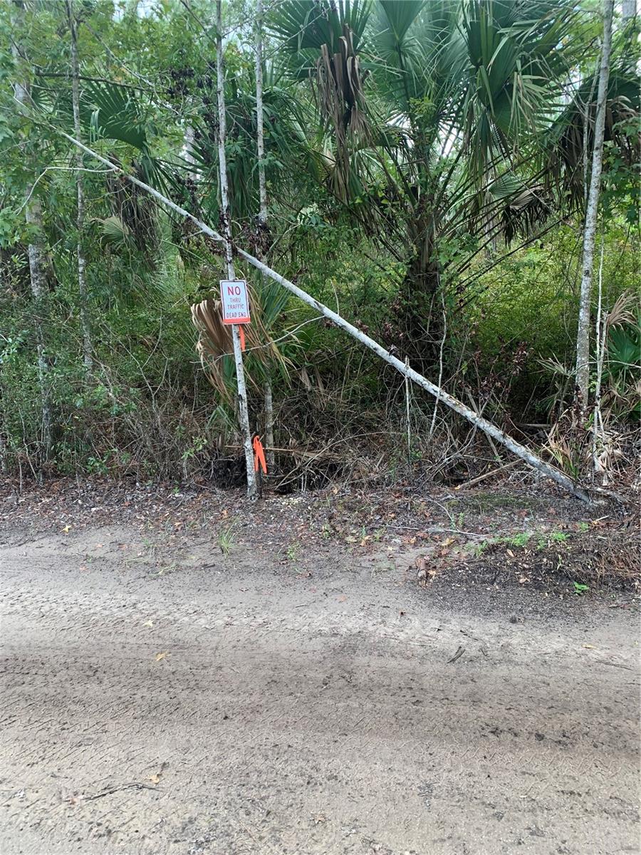 Image 8 of 10 For County Rd 335