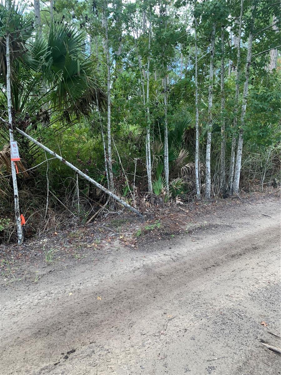 Image 9 of 10 For County Rd 335