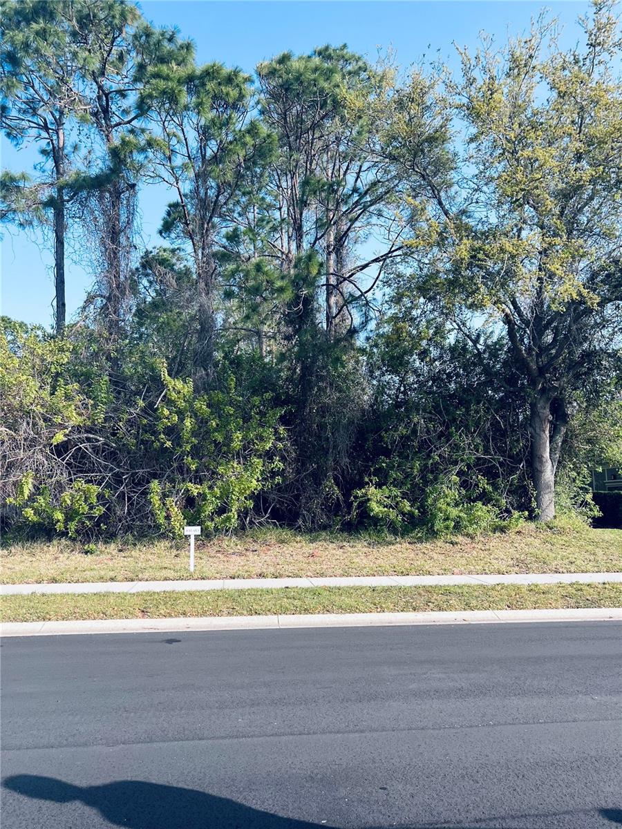 Details for 91 Emerald Lake Drive, PALM COAST, FL 32137