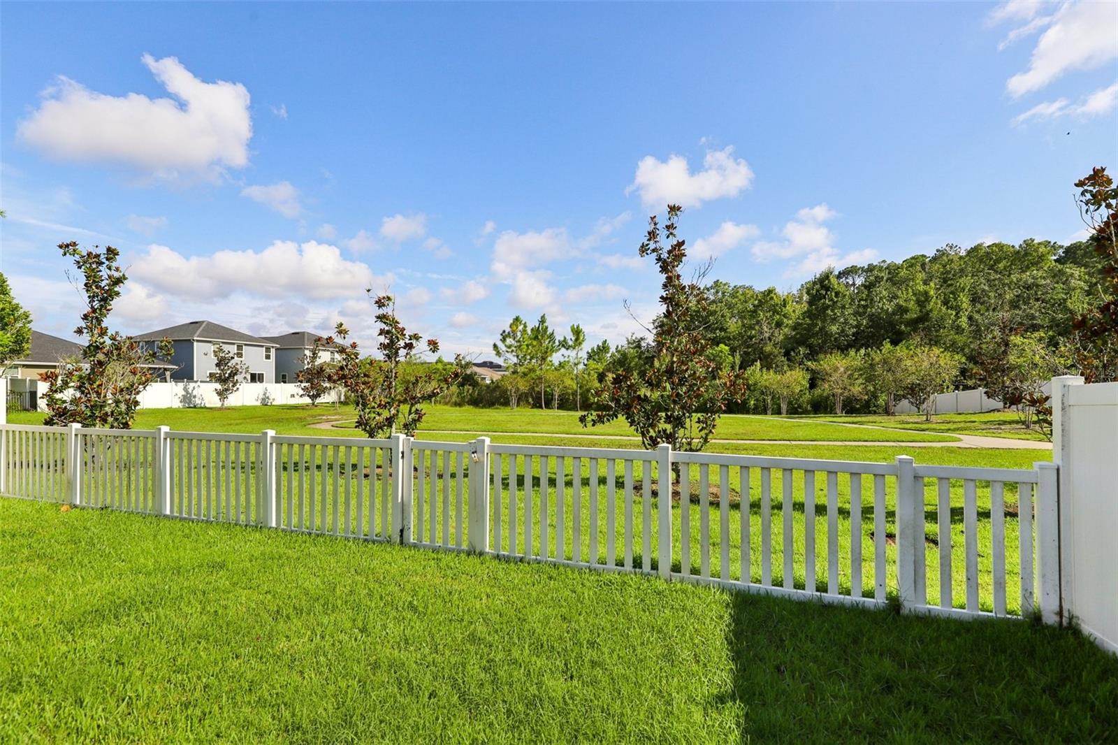 Image 32 of 48 For 539 Bluejack Lane