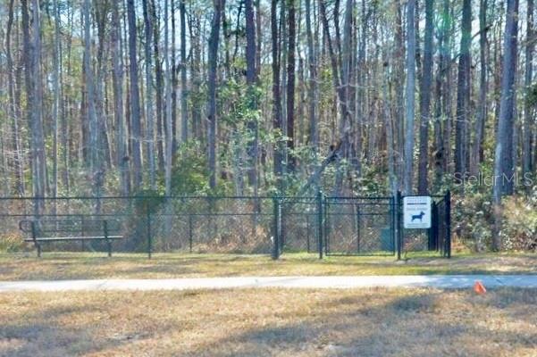 Image 40 of 40 For 142 Dove Tree Lane