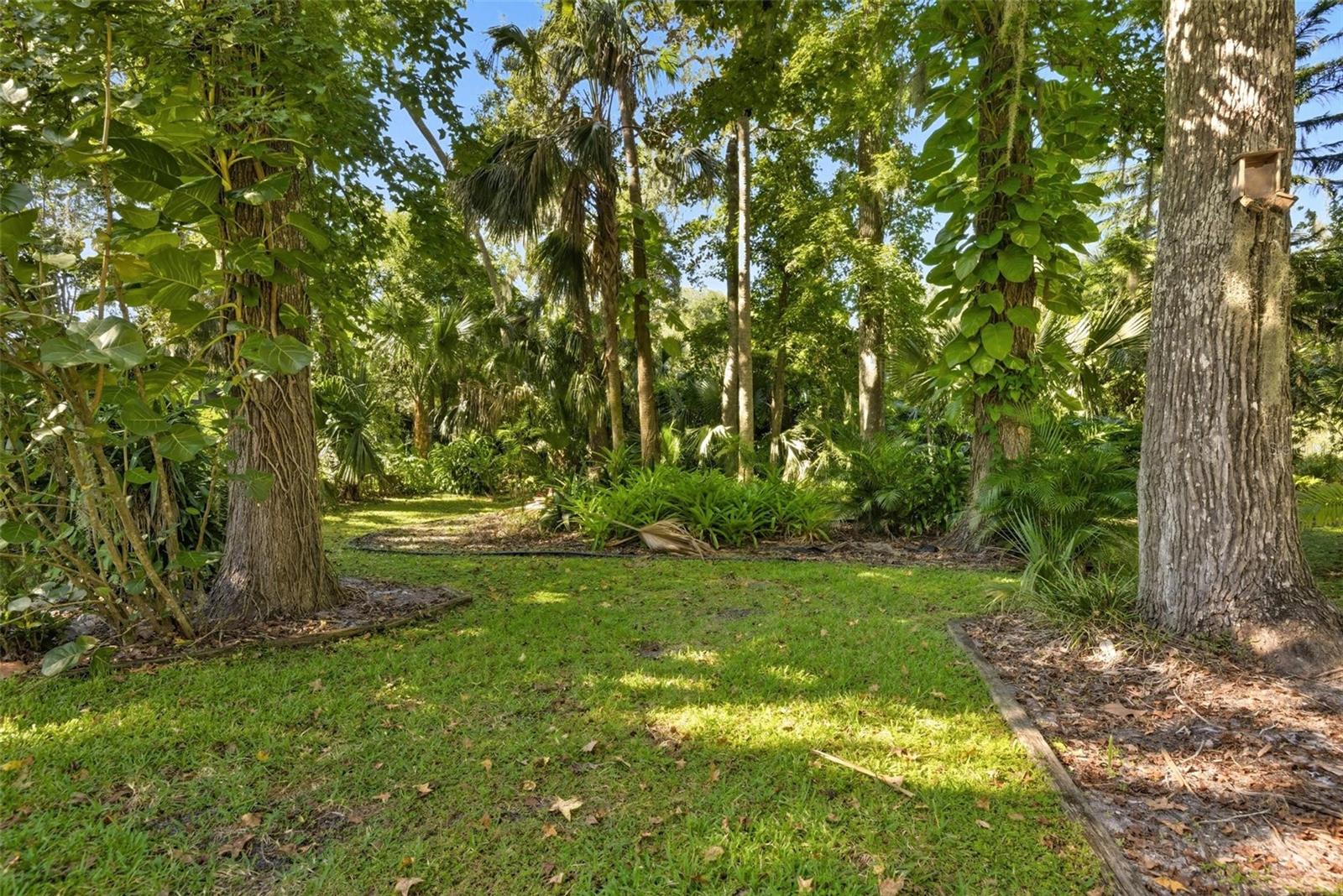 Image 51 of 66 For 3908 Tano Drive