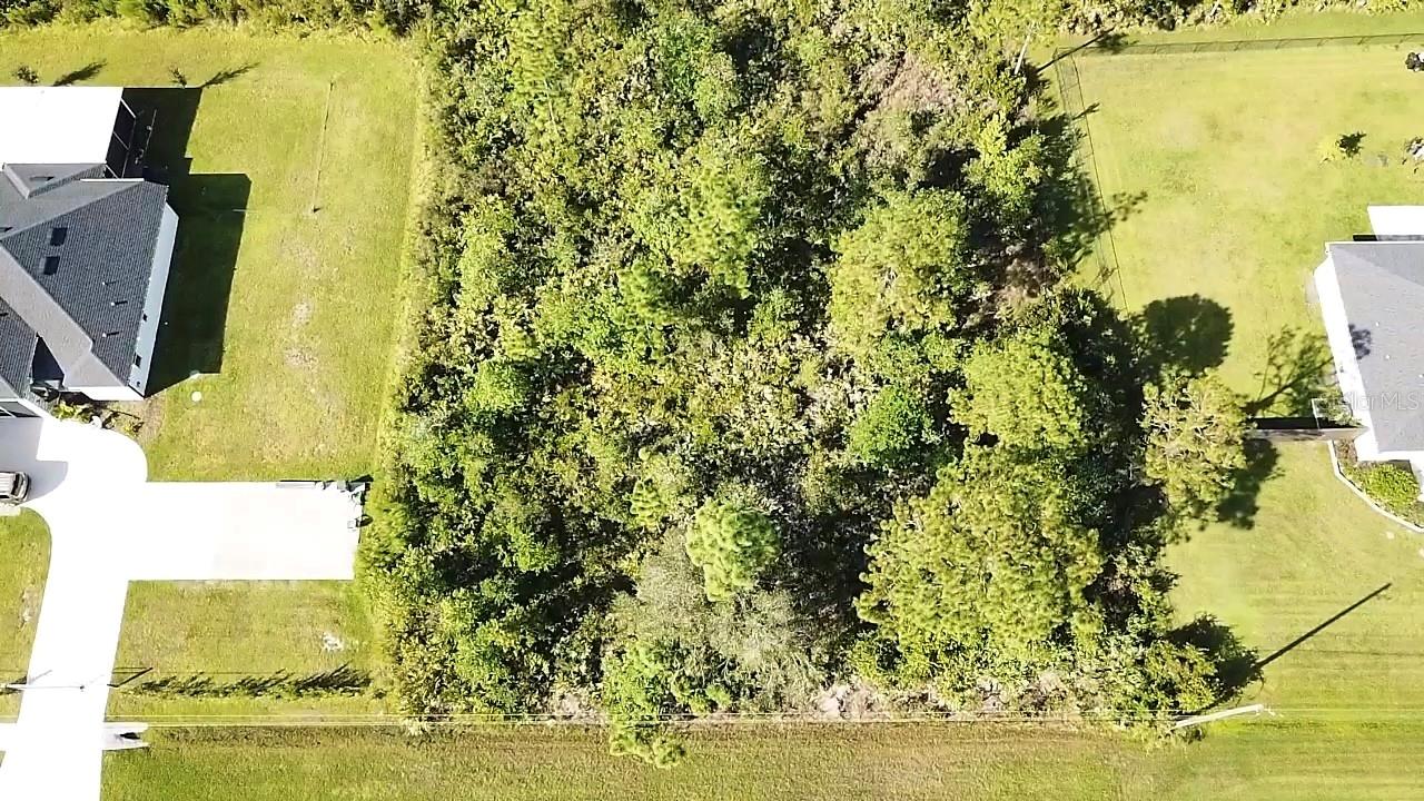 Image 10 of 10 For Ortega Street