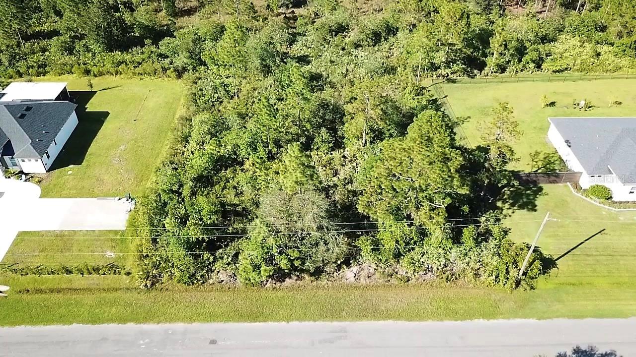 Image 9 of 10 For Ortega Street