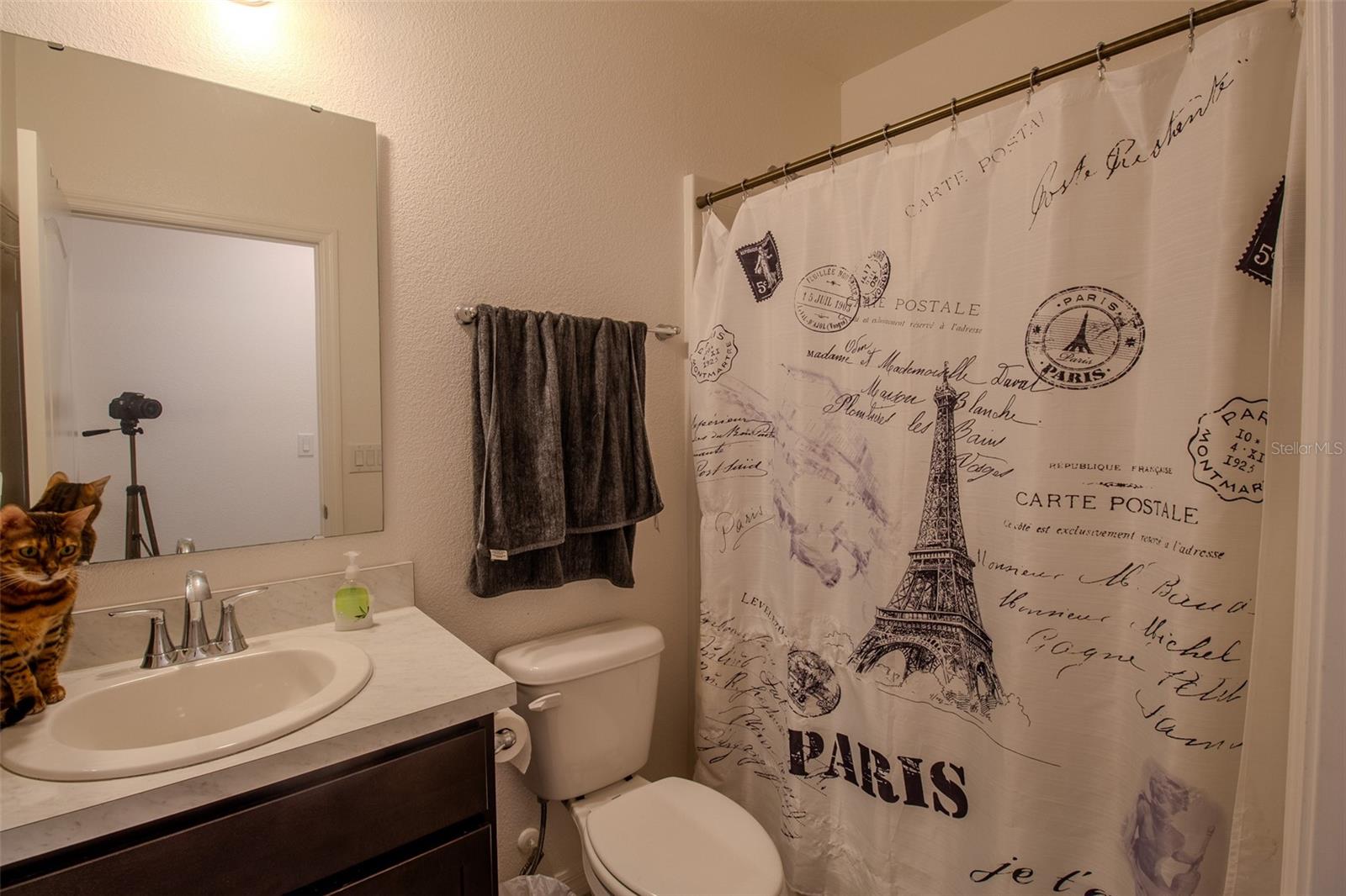 Image 20 of 25 For 25 Ferndale Lane