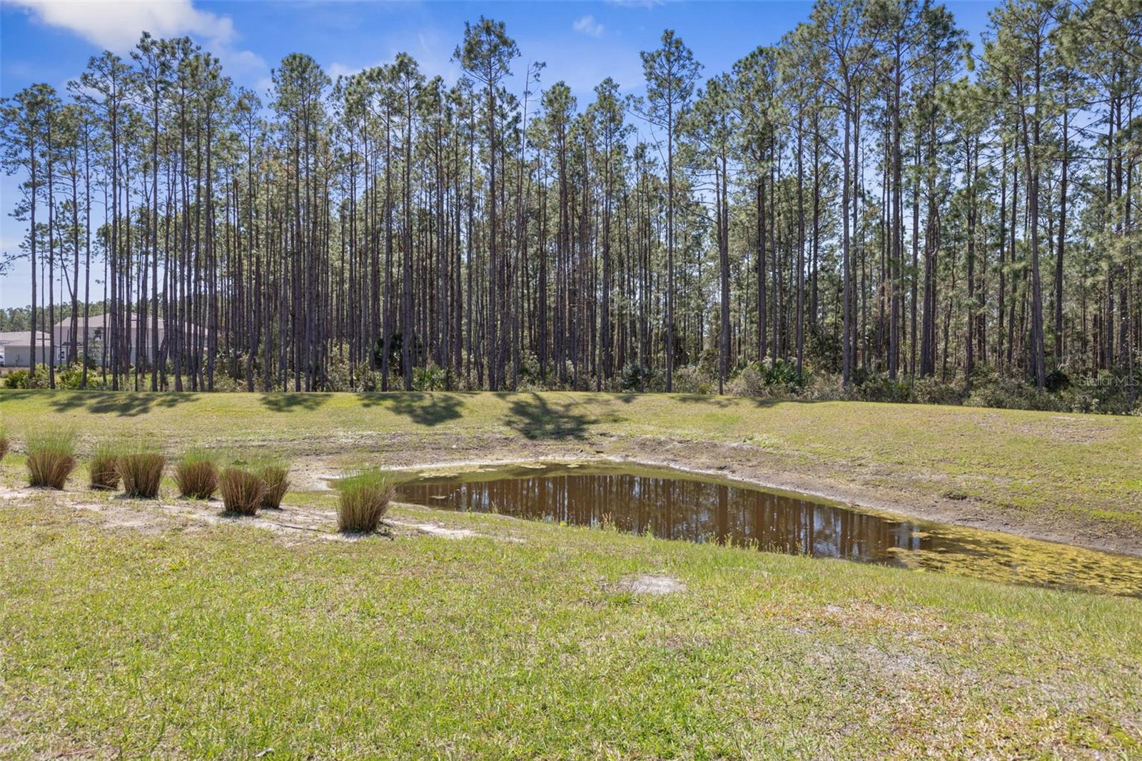 Image 33 of 39 For 32 Redbud Road