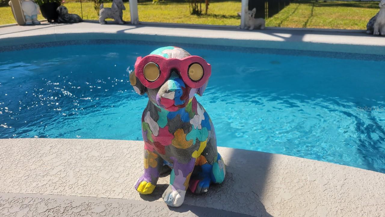 Image 52 of 54 For 22 Ulmaceal Path