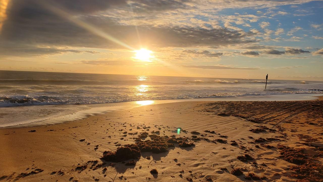 Image 53 of 54 For 22 Ulmaceal Path