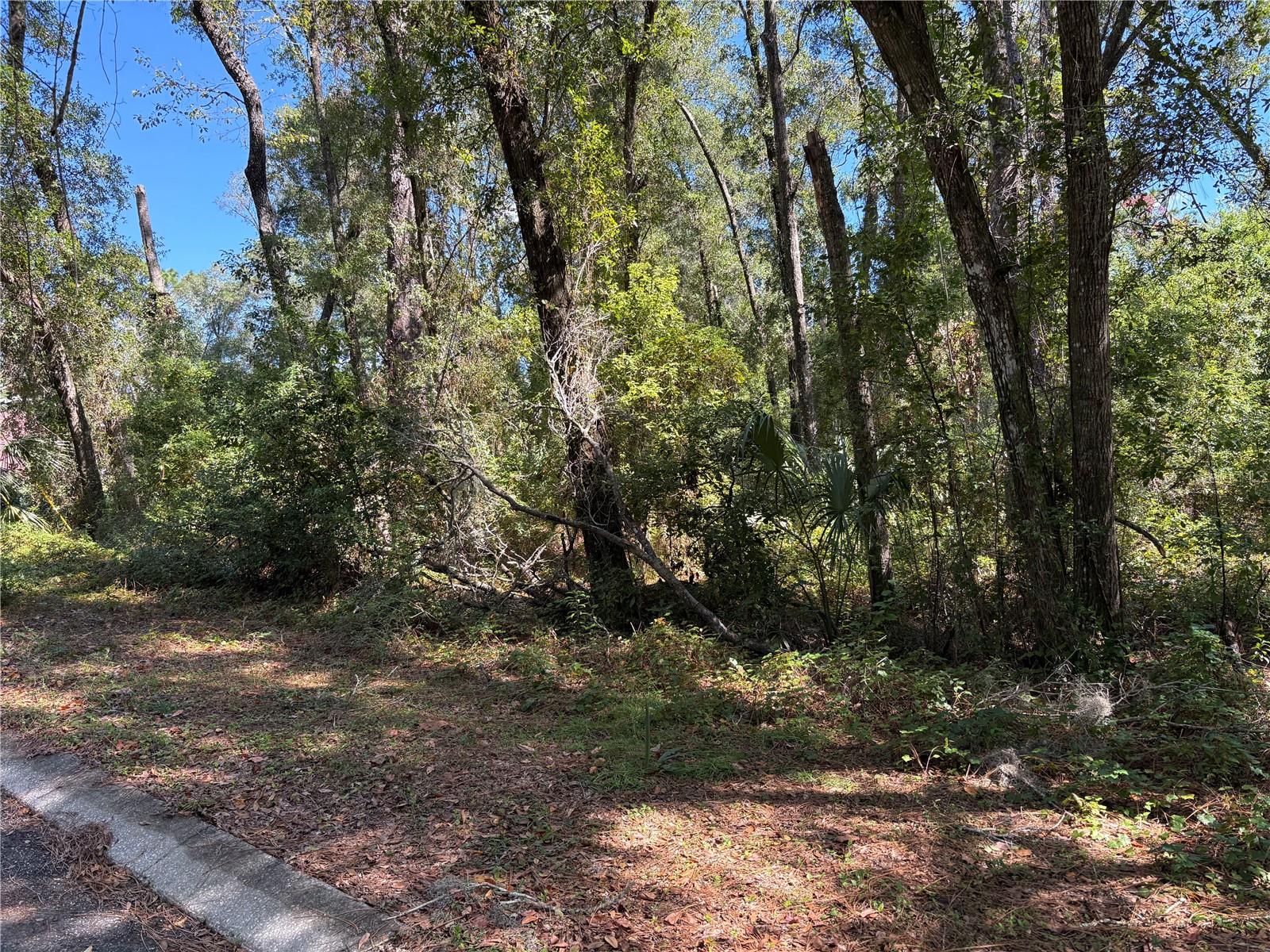 Image 2 of 4 For 1222 Clover Terrace