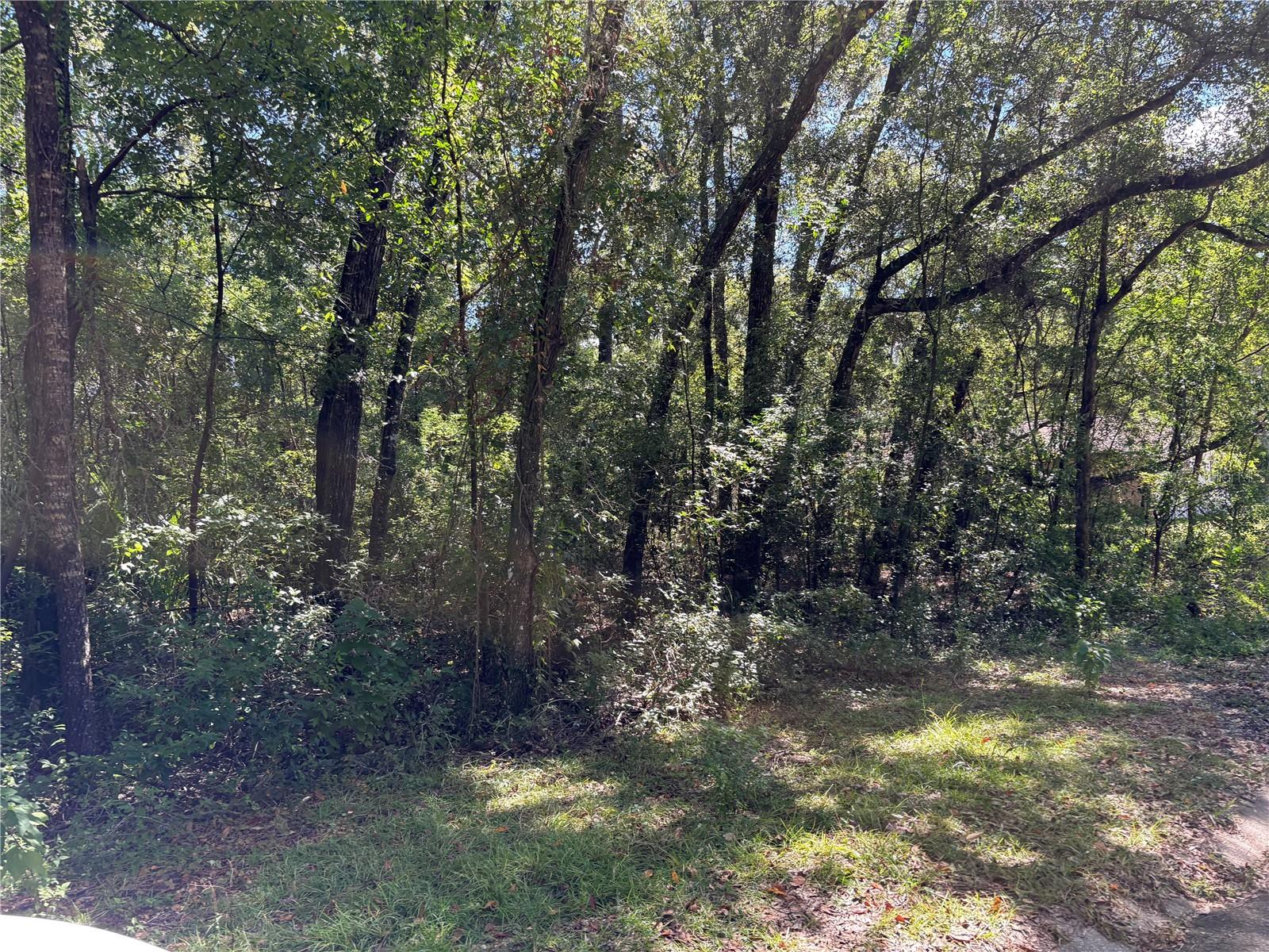 Image 3 of 4 For 1222 Clover Terrace