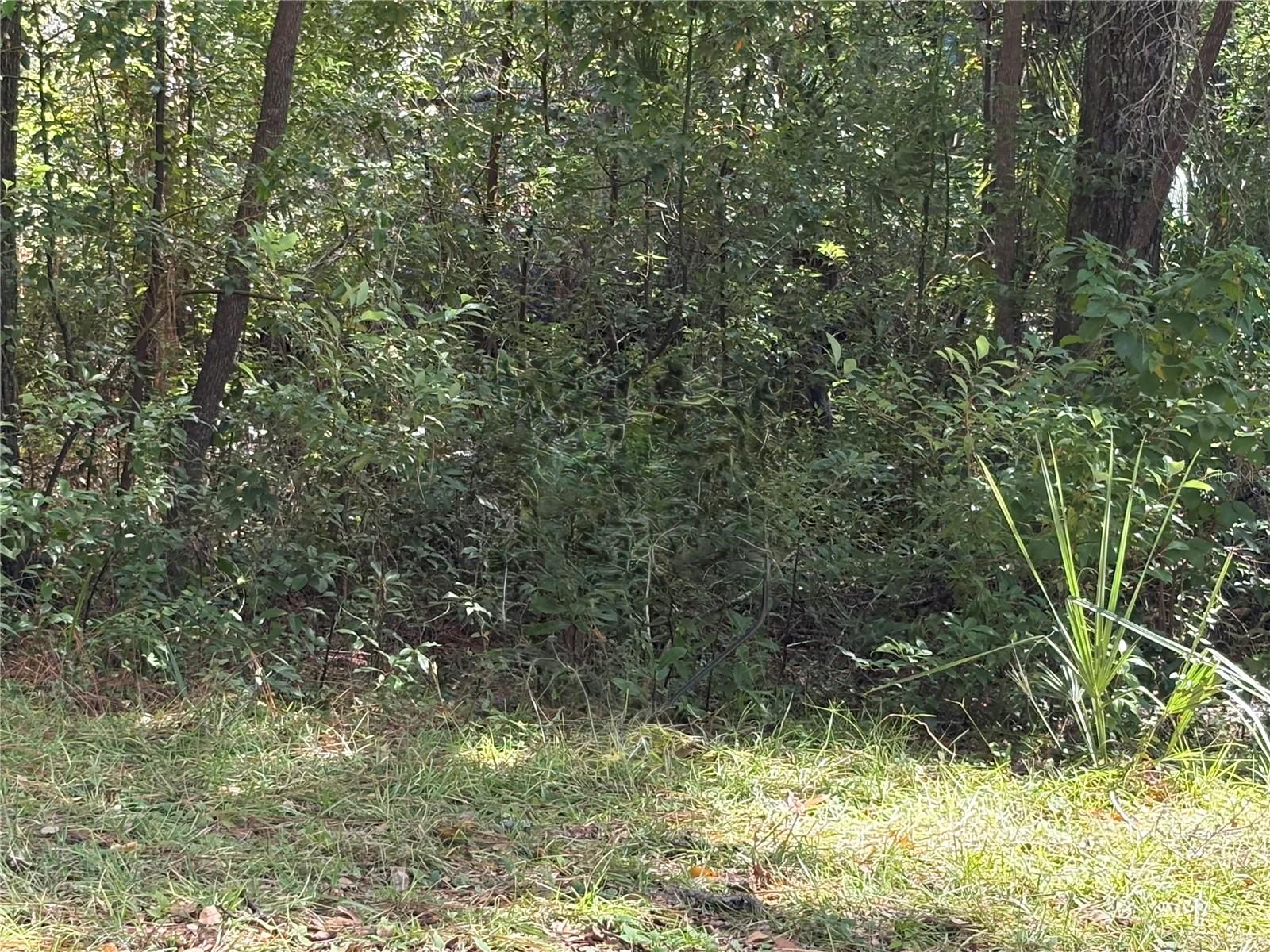 Image 4 of 4 For 1222 Clover Terrace