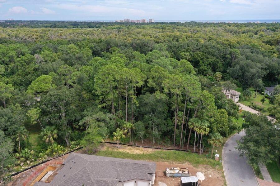 Image 4 of 28 For 165 Willow Oak Way