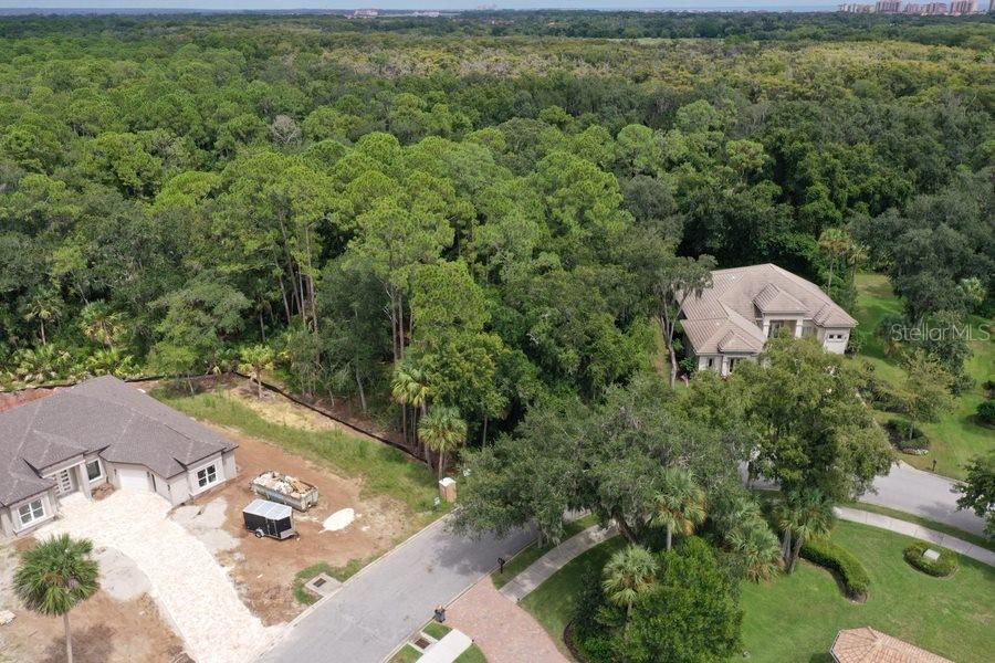 Image 6 of 28 For 165 Willow Oak Way