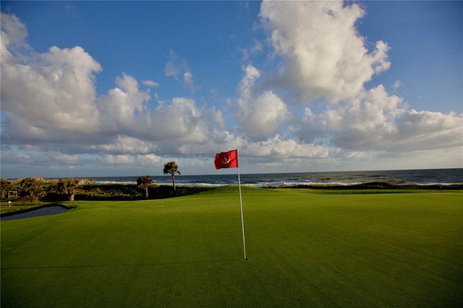 Image 51 of 59 For 19 Avenue De La Mer  705